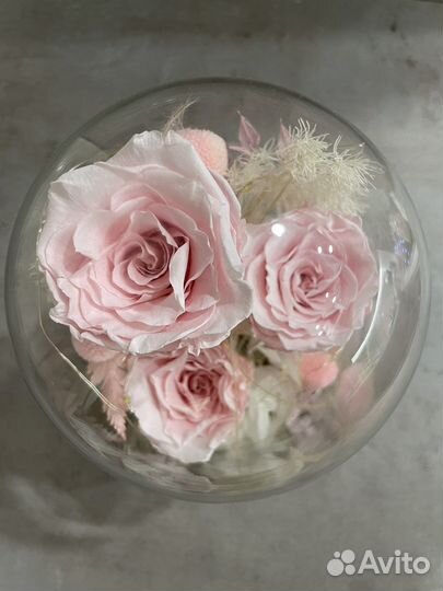 Композиция из стабилизированных цветов в колбе