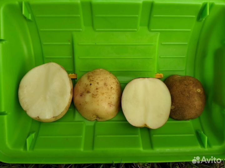 Продукты питания