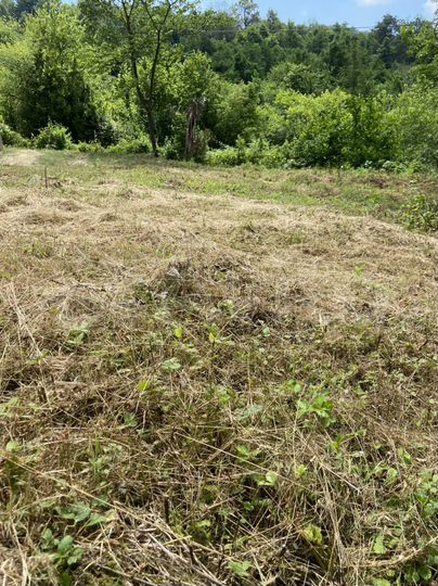 Участок 5,3 сот. (СНТ, ДНП)