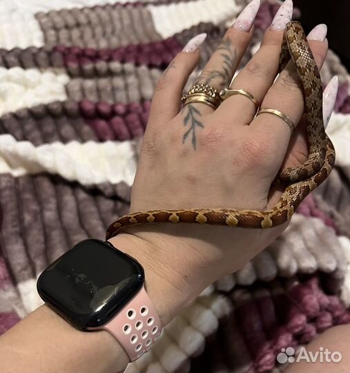 Часы apple watch 7 45 mm nike