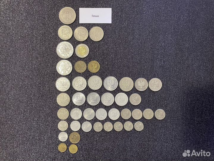 Монеты Польши