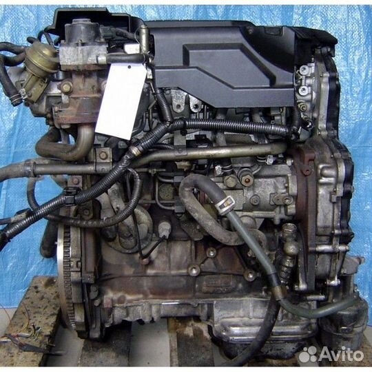 Двигатель yd22ddti Nissan X-Trail
