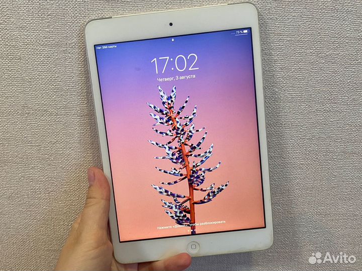 iPad mini 2 retina