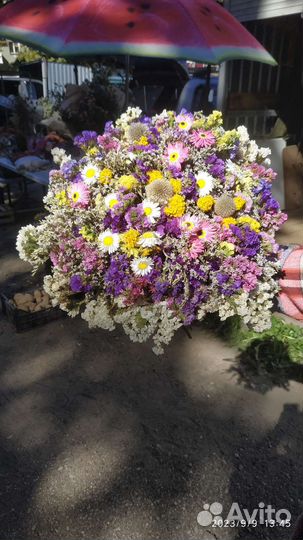 Статица букеты сухоцветы