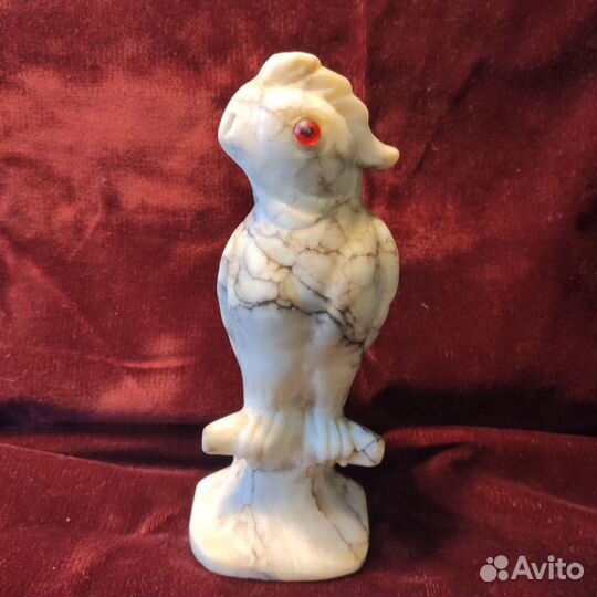 Мраморный попугай СССР