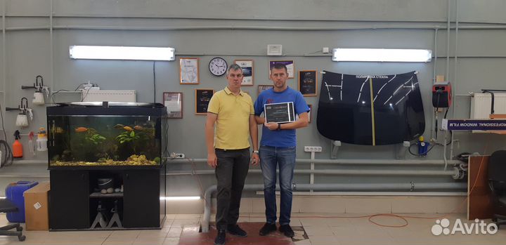 Обучение полировке стекол автомобилей, очно