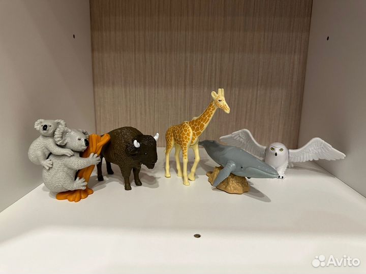 Киндер макси Natoons 2023-2024 Сова