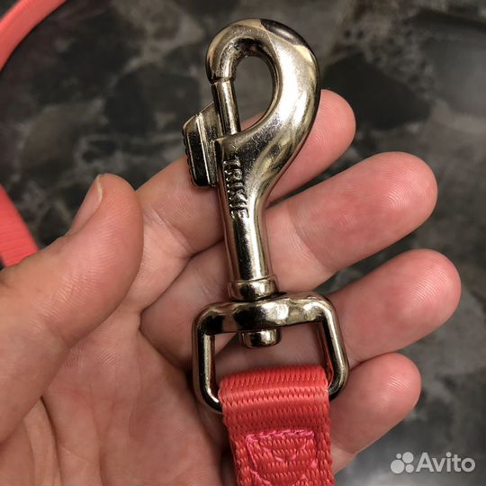 Амуниция для собак