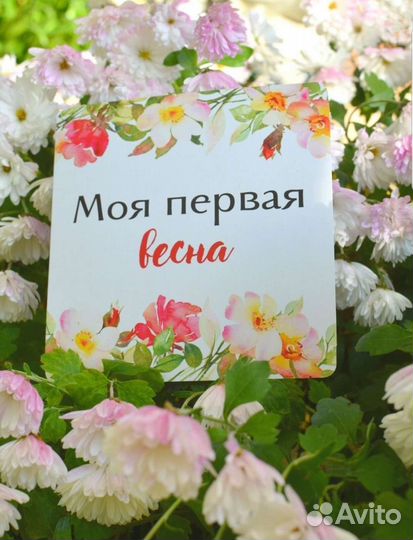 Карточки для фотосессии малыша