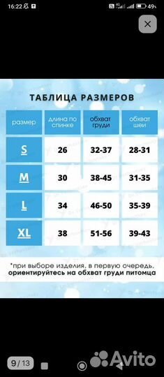 Одежда для собачки и туалет