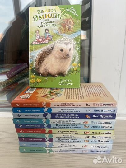 Дейзи медоус лес дружбы книги