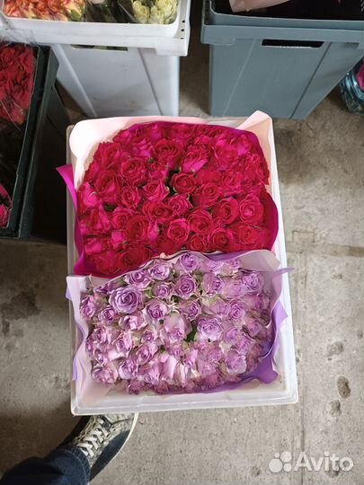 Розы букеты цветы на 14 февраля Москва и область
