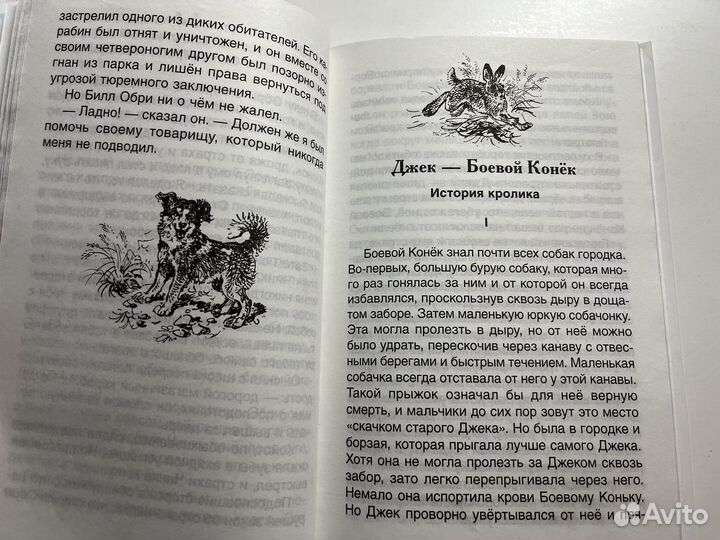 Внеклассное чтение