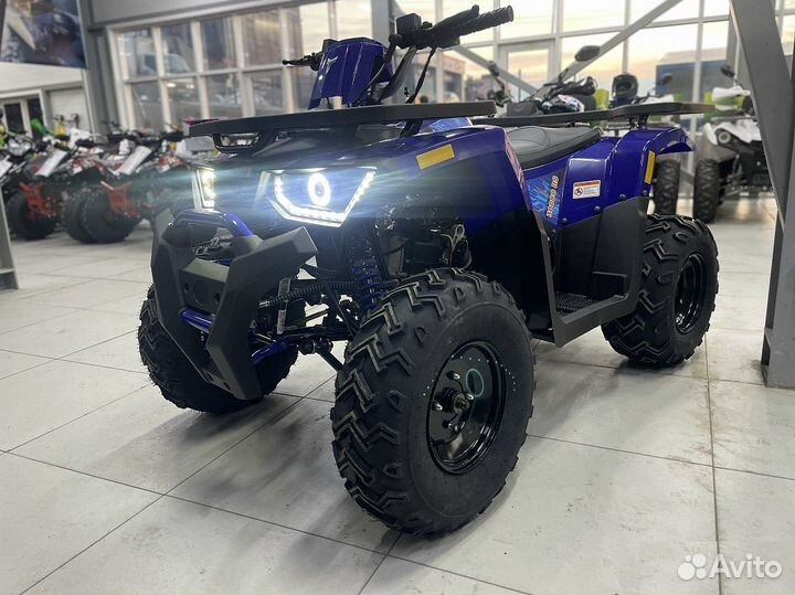 Квадроцикл promax wild 300