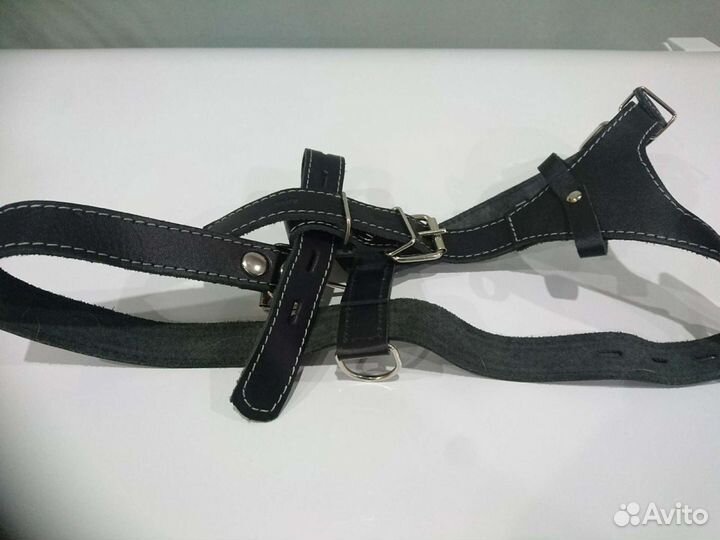 Шлейки для собак средних пород