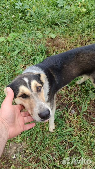 Представитель