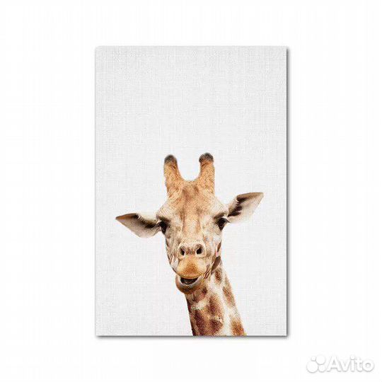 Постеры в детскую 25*36