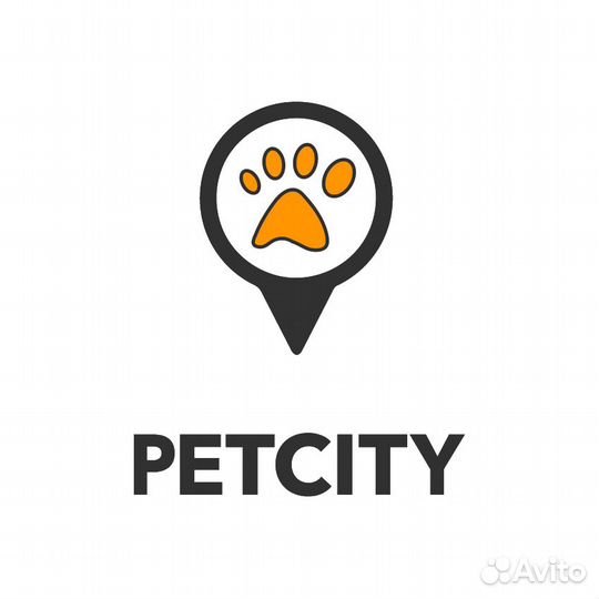 Ассистент ветеринарного врача