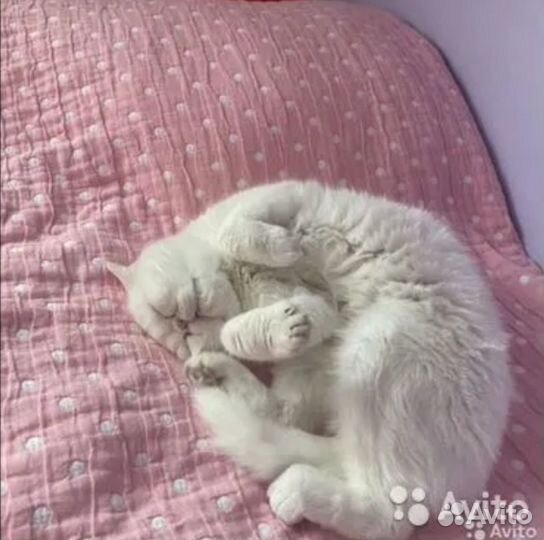 Экзотик вязка