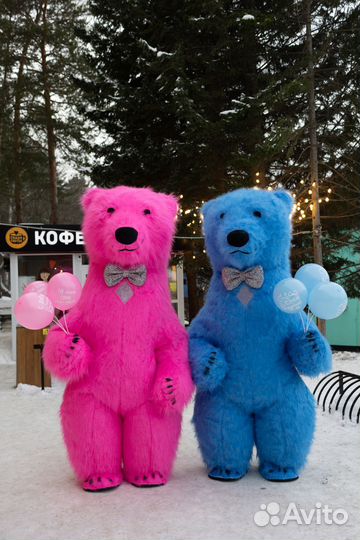 Поздравление от Гигантского Медведя 2,6 метра