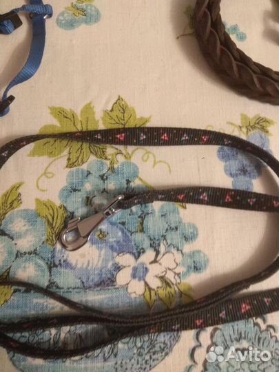 Поводочки и ошейник-шлейка