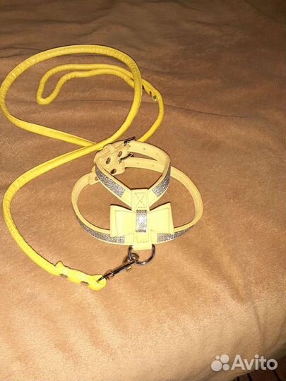 Шлейка с поводком для собаки