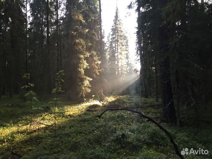 Палатка трёхместная Trek Planet Alaska 3