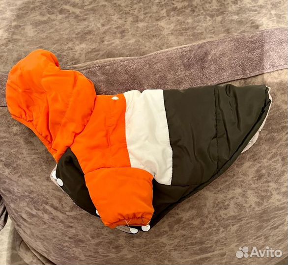 Куртка для собак мелких пород