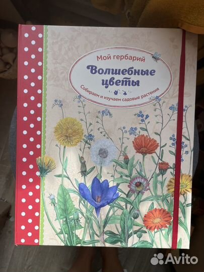 Мой гербарий волшебные цветы