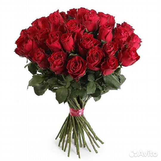 25 роз с доставкой