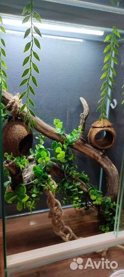 Террариумы на заказ