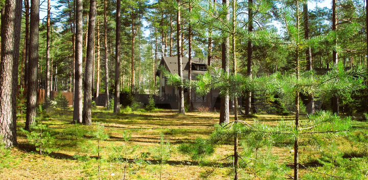 Коттедж 155 м² на участке 20 сот.