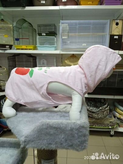 Одежда для собак мелких пород и средних пород