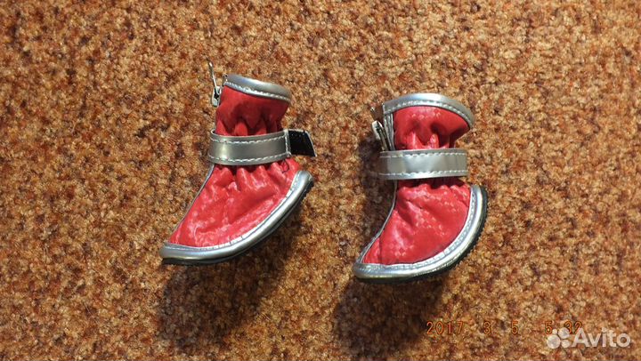 Обувь для собак