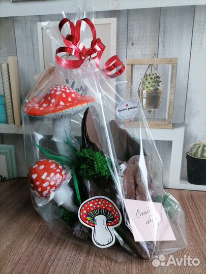 Органайзер