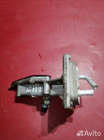 Радиатор масляный Nissan Teana J32