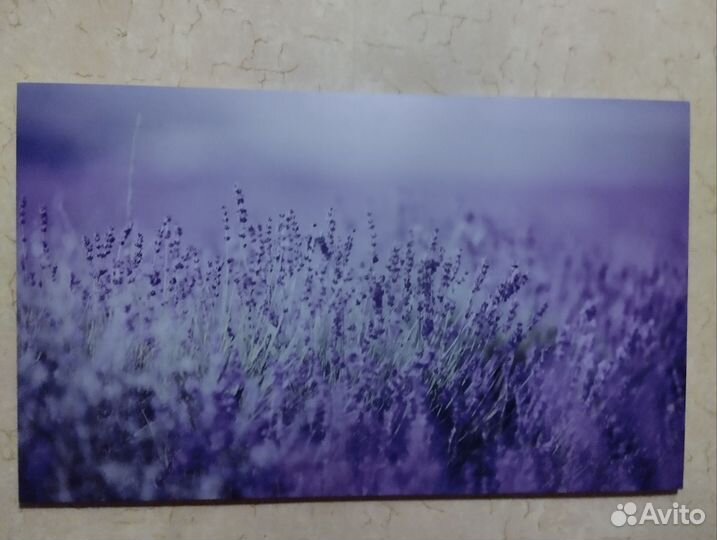 Большая картина Лаванда 60:100
