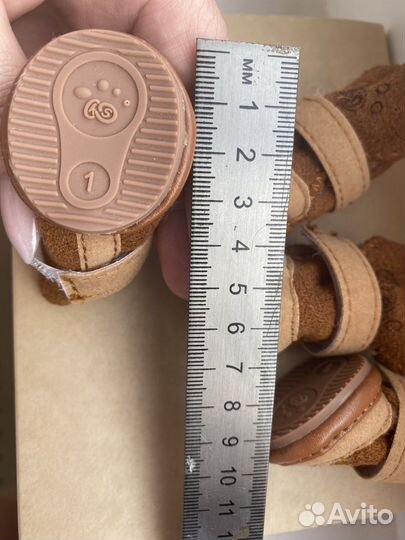 Ботинки для собаки