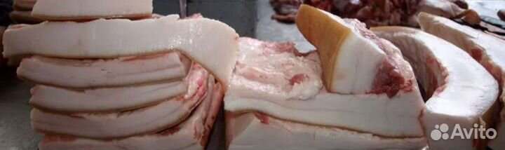 Сало свиное свежее