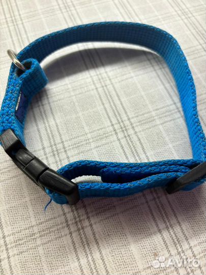 Амуниция для собак