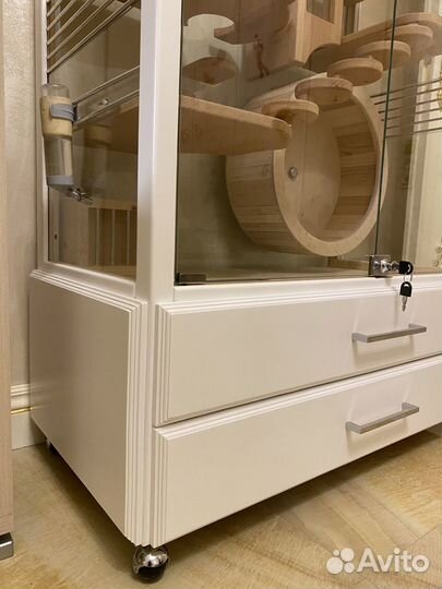 Витрина для шиншилл, дегу «Джуманджи-2»