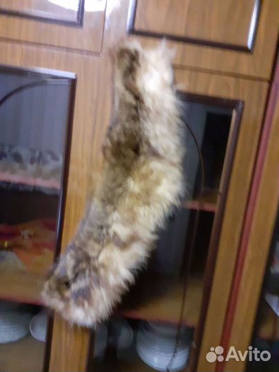 Воротник мех,Лиса