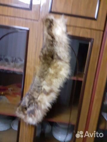 Воротник мех,Лиса