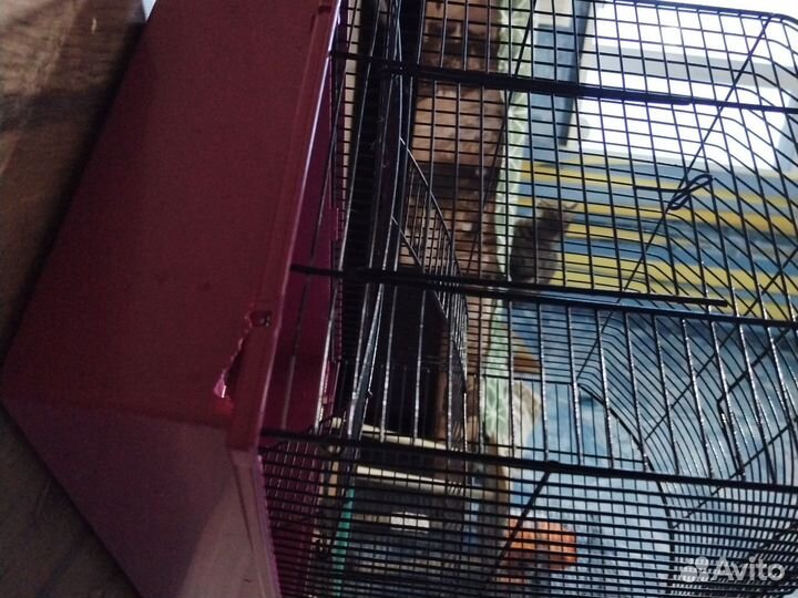 Клетка для грызунов бу