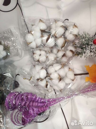 Декоративные растения