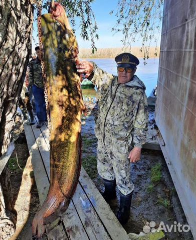 Рыбалка,охота, база «Грэй гусь», подводная охота