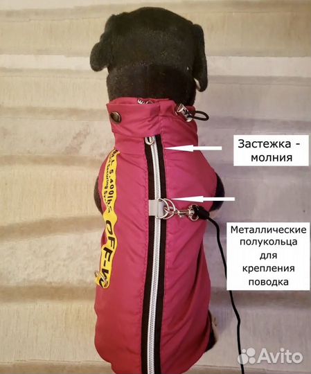 Одежда для маленьких собак