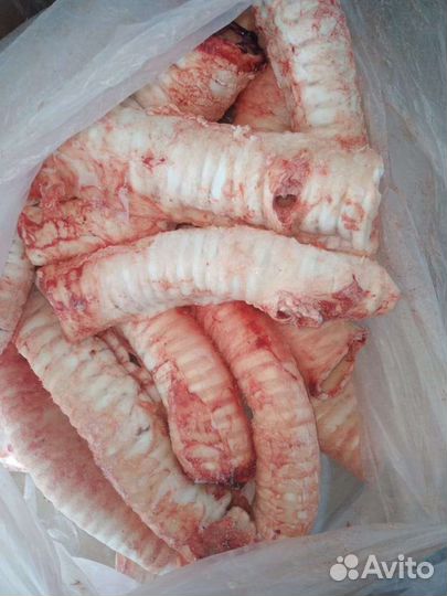 Трахея говяжья на корм и сушку для животных