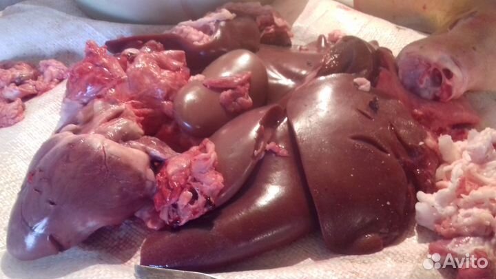 Мясо- свинина домашняя в Усть-Абакане