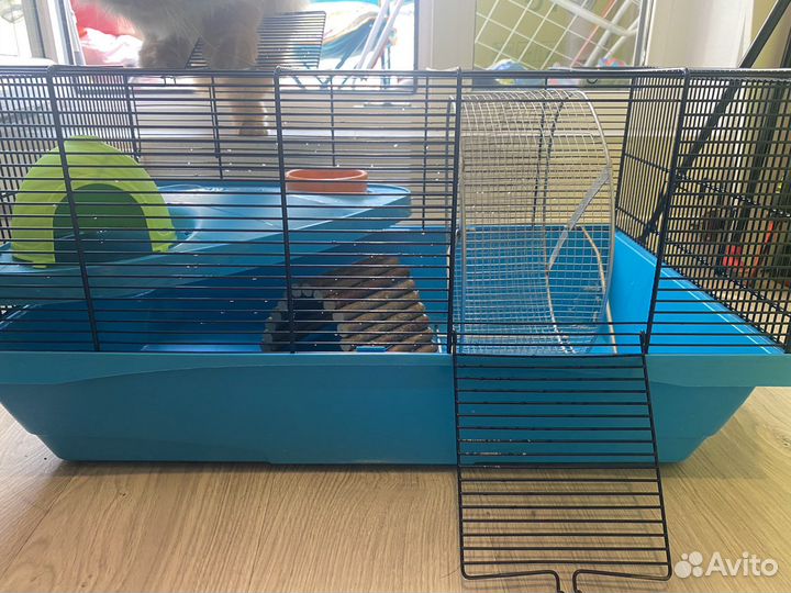 Клетка для грызунов